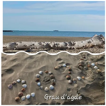 Casa Littoral 펜션 Le Grau-dʼAgde